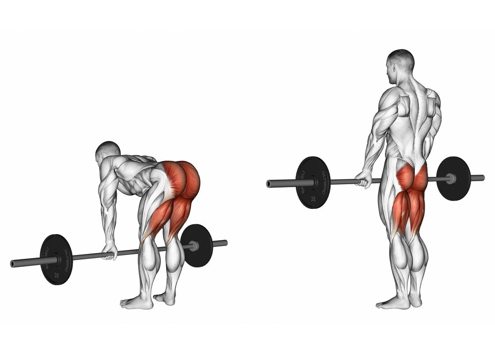 Understanding Deadlift Mechanics and Proper Setup