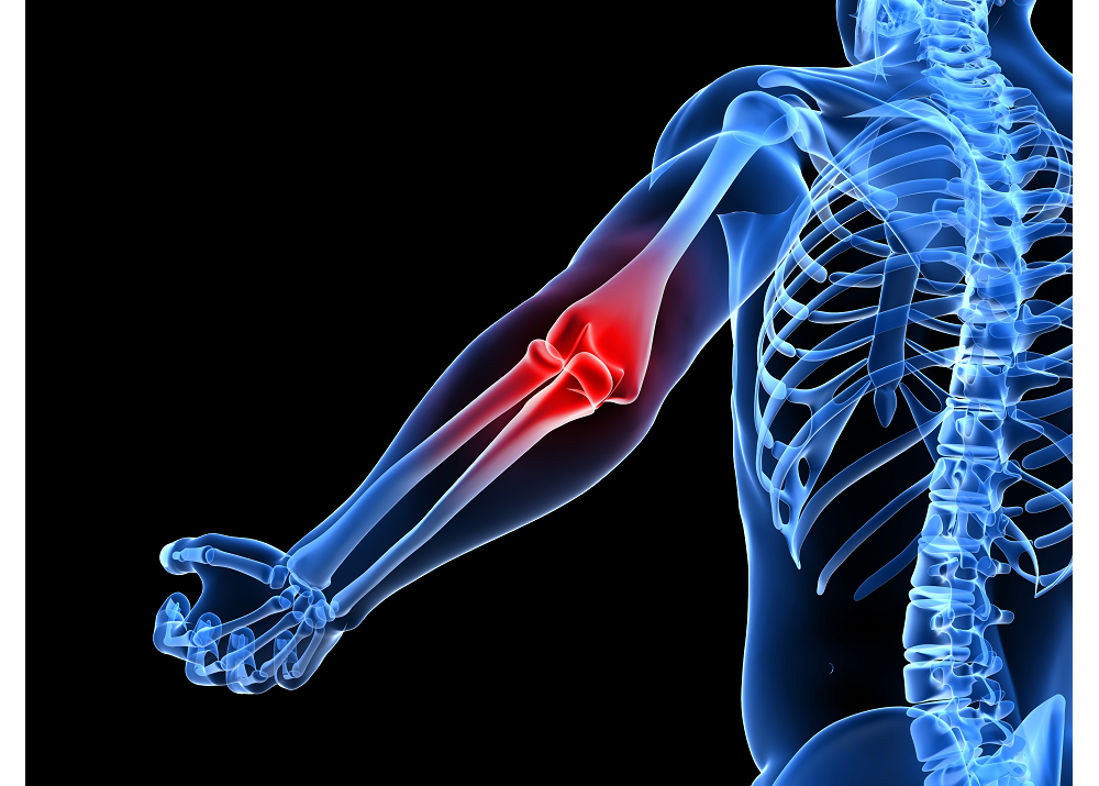 Unlocking the Synergy Between Weight Training and Flexibility