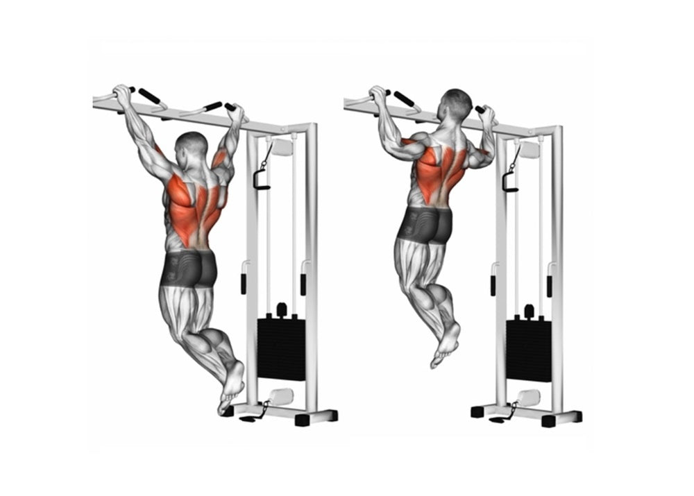 Pull-Up Muscles Worked: Anatomy, Joint Actions & Technique
