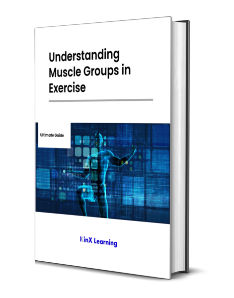 Understanding Muscle Groups in Exercise