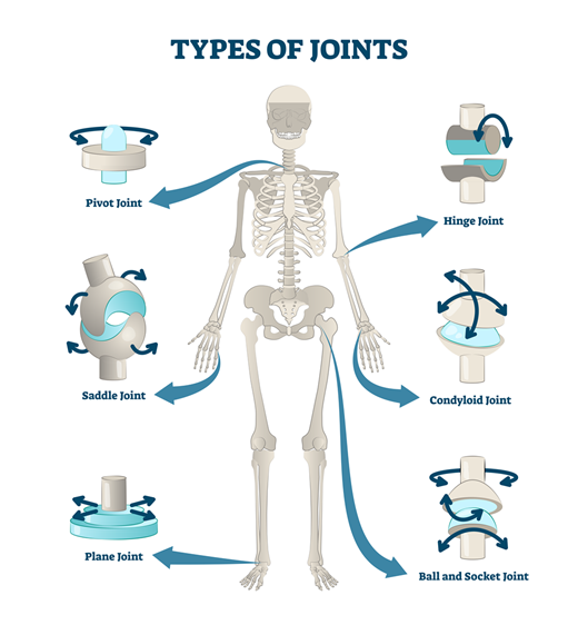 kinx-learning.myshopify.com image