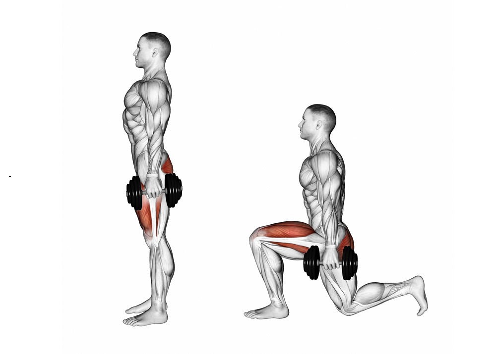 Mastering the Lunge: Anatomy, Biomechanics, and Proper Technique