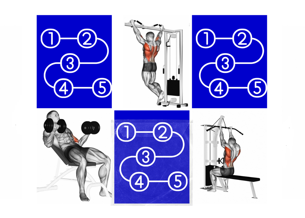 Optimal Exercise Order: Maximize Your Workout Results with the Right Sequence