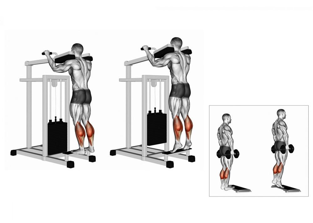 Execution of the Heel Raise Exercise