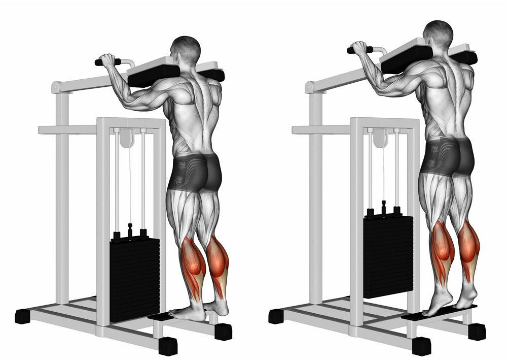 Maximize Calf Growth: Heel Raise Variations with Toes Straight, Inward, and Outward