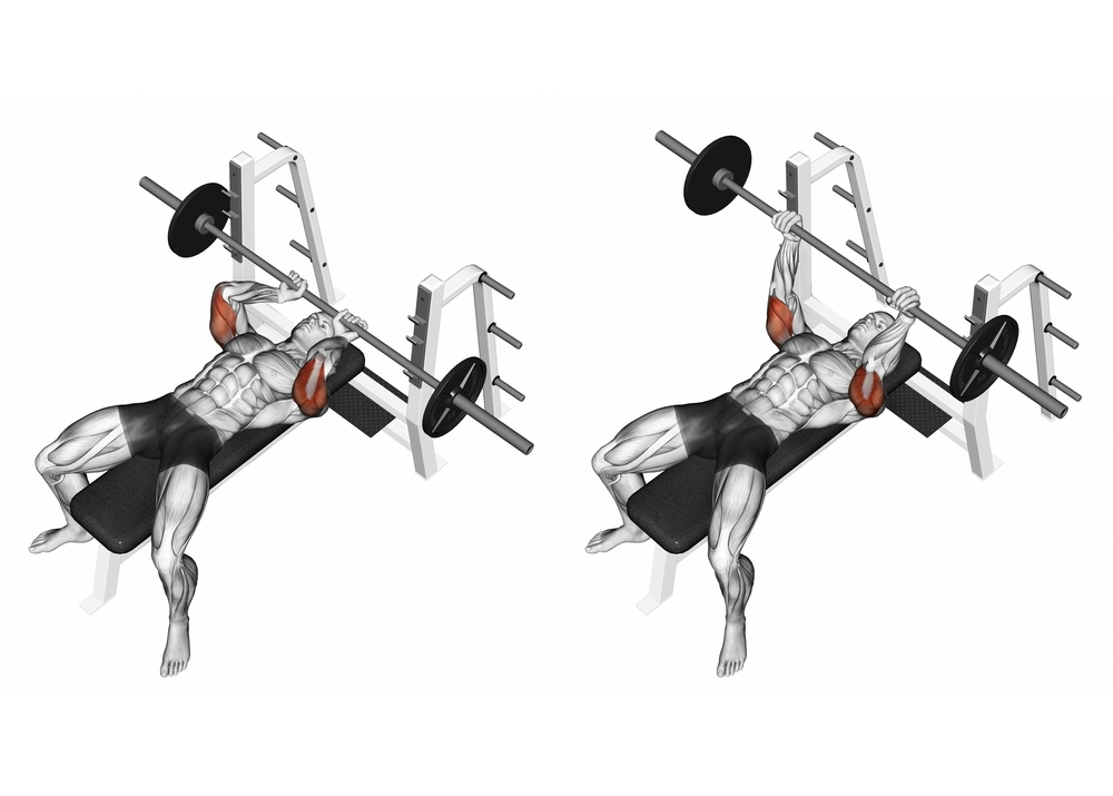 Understanding Bench Press Mechanics and Shoulder Positioning