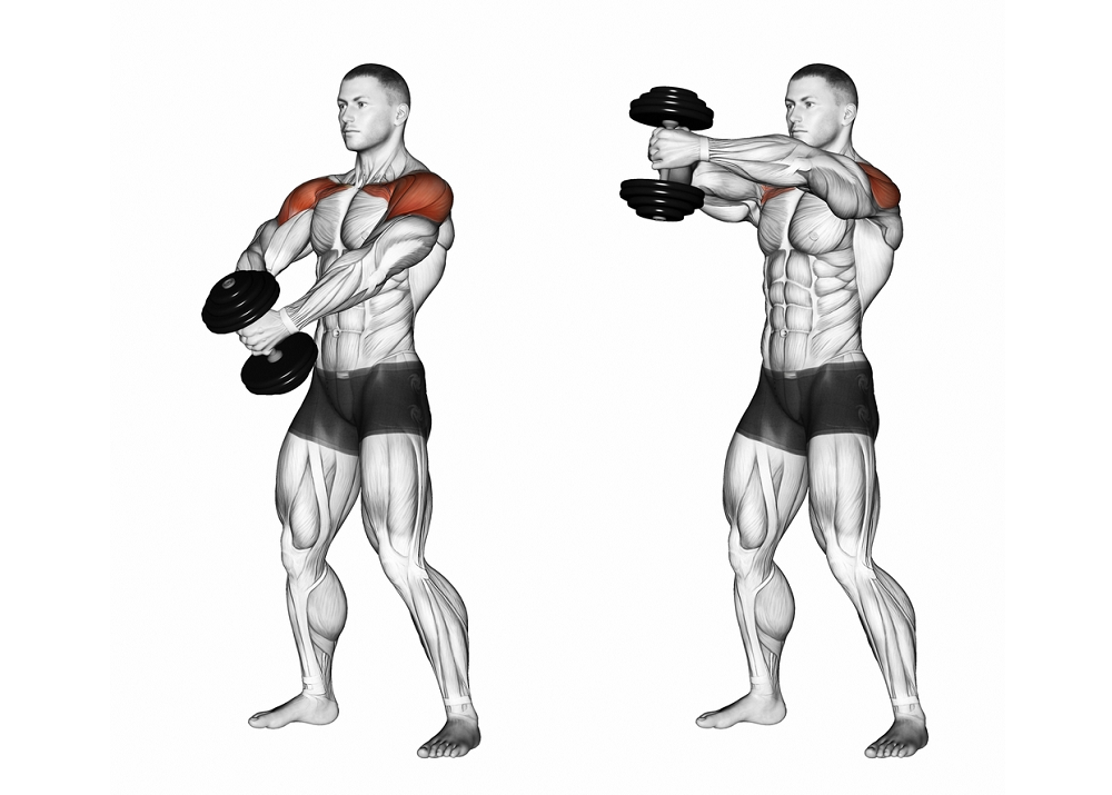 Major Muscles and Actions Involved in the Front Arm Raise Exercise
