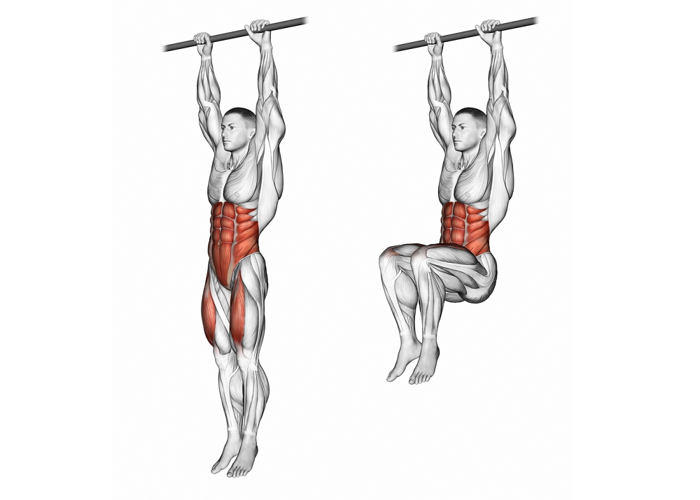 Understanding Hanging Leg Raise Mechanics: Hip Flexion and Trunk Stabilization