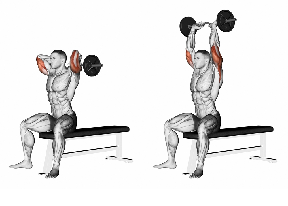 4 Tips on the Overhead Triceps Press Exercise