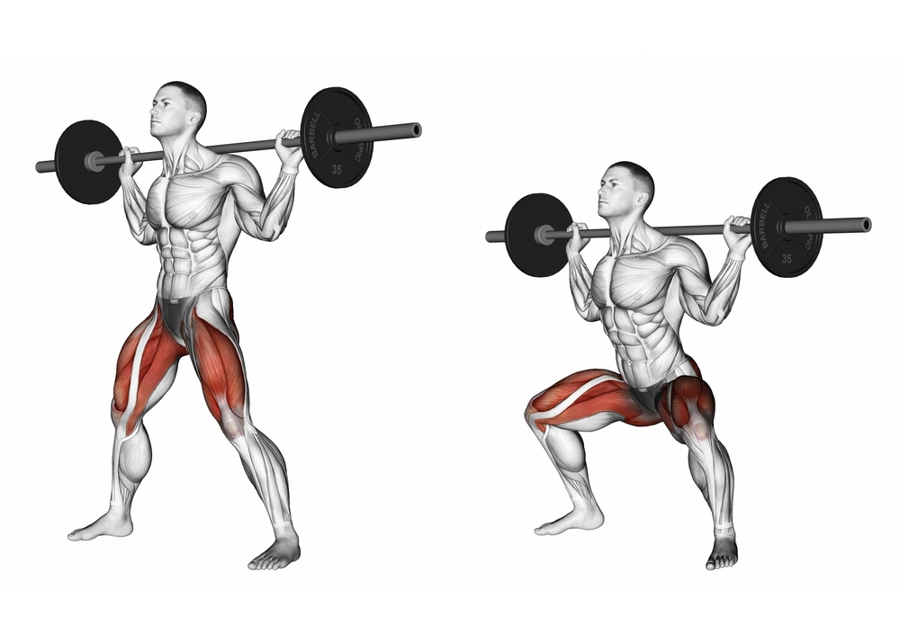 Major Muscles and Actions Involved in the Squat Exercise