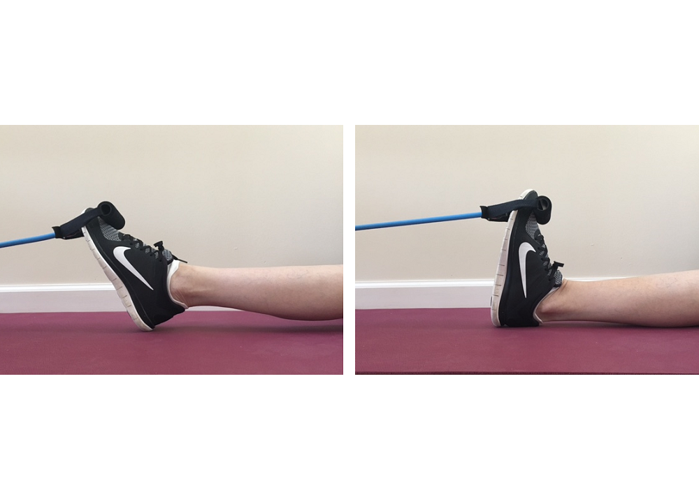 Basic Movements of the Ankle