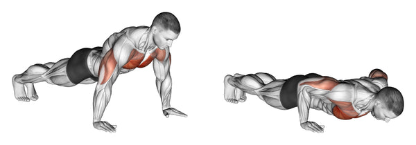 Push-Up: Muscles Worked, Proper Form, and Benefits