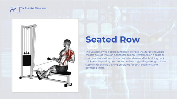 Seated Row: Muscles Worked, Proper Form, and Benefits