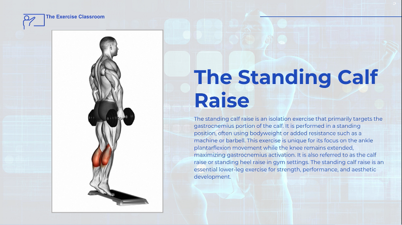 Heel Raise Exercise: Boost Your Calf Muscle Strength