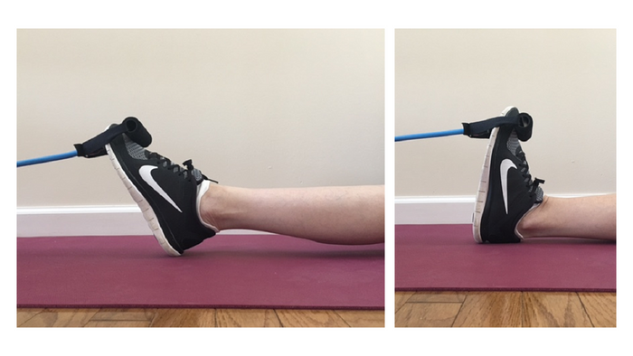 Free Lessons in the Kinesiology of Exercise by KinX Learning