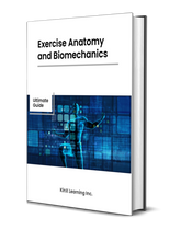 Exercise Anatomy and Biomechanics: Ultimate Guide