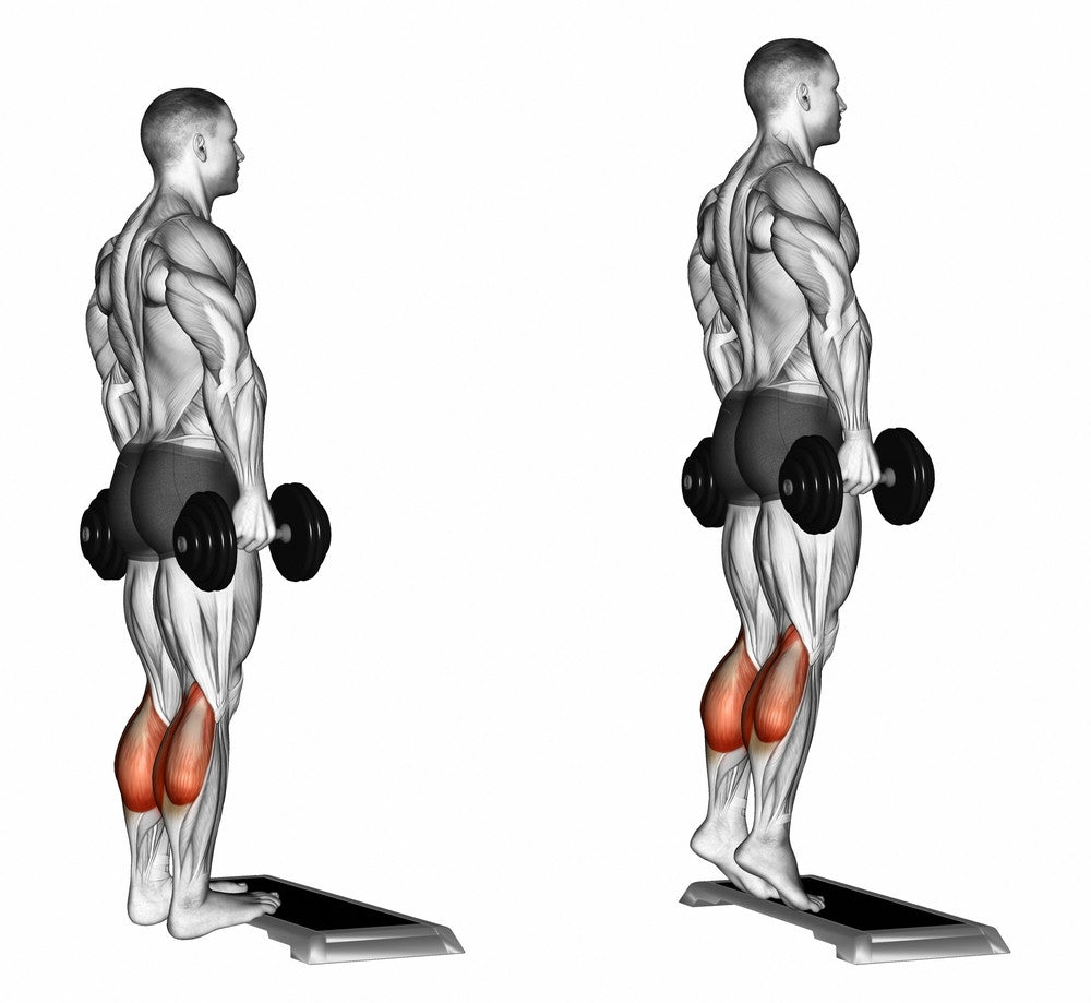 How To Do Calf Raises With Proper Form? - Benefits, Muscle work