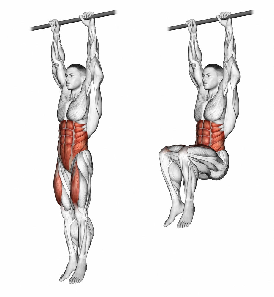 hanging leg lifts muscles worked