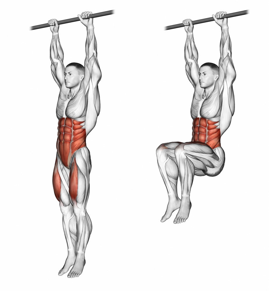 Hanging Leg Raises Exercise Hanging Leg Raise JEFIT Hanging Leg Raises Exercise Hanging Leg Raise JEFIT