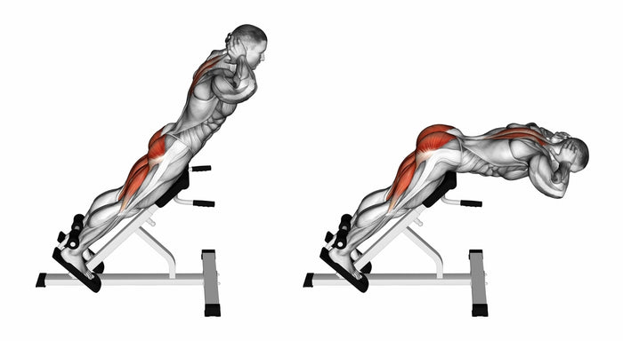 Back Rise Shape Back Raise: Muscles Worked, Proper Form, and Benefits