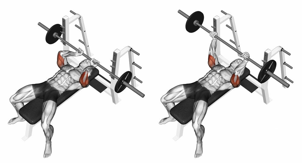 Bench press: muscles worked & best bench press alternatives