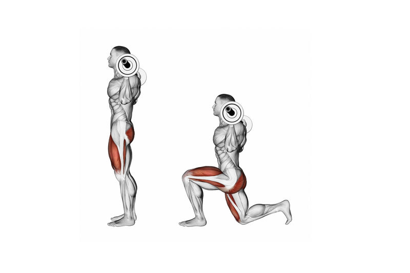 Structured Exercise Anatomy, Biomechanics & Safety | KinX